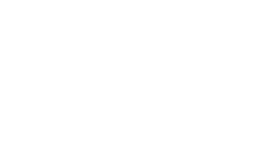 Sankei 555